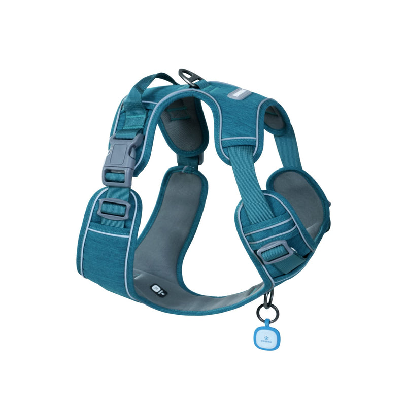 Pawaii Dog Harness, No-Pull Pet Harness with Pet ID Tag, No Choke Front Lead Dog Harness, Adjustable Soft Padded Pet Vest with Easy Control Handle M (Chest: 22"-27" ) Teal Green - BeesActive Australia
