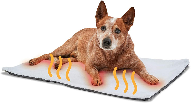 Petlex Self Heating Pet Bed, Self-Warming Pet Blanket Pad with Soft Washable Fleece Cover, Pet Thermal Mat Pad for Dogs and Cats 35x23in - BeesActive Australia