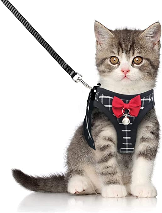 BLUWTE Cat Harness and Leash Set for Escape Proof ,Breathable Dog Harness,Pet Harness,Adjustable Mesh Vest Harness for Puppy Cat Rabbit Black XX-Small - BeesActive Australia