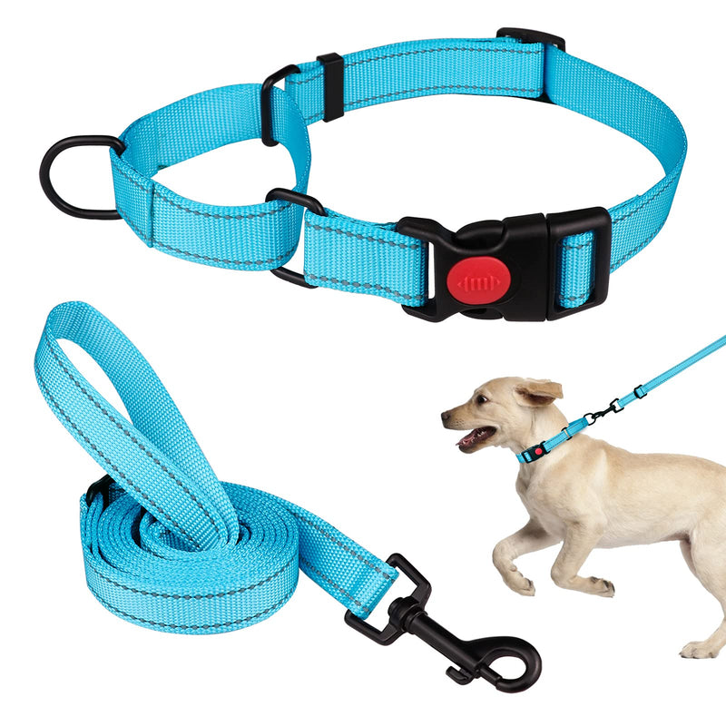 Martingale Dog Collar and Leash Set Martingale Collars for Dogs Reflective Martingale Collar for Small Medium Large Dogs Sky Blue - BeesActive Australia