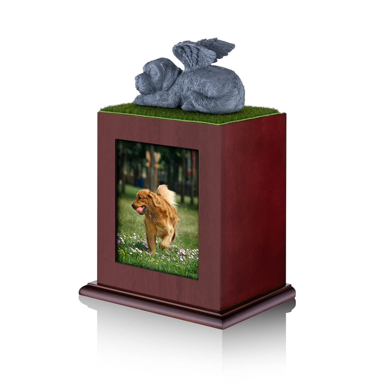 NEWDREAM: Pet Cremation Urns,Pet Photo Urn,Dog Ashes Urn, Box for Dog Ashes, Pet Ashes Photo Box,Ash Box for Dogs, Wood Keepsake Memorial Urns - BeesActive Australia