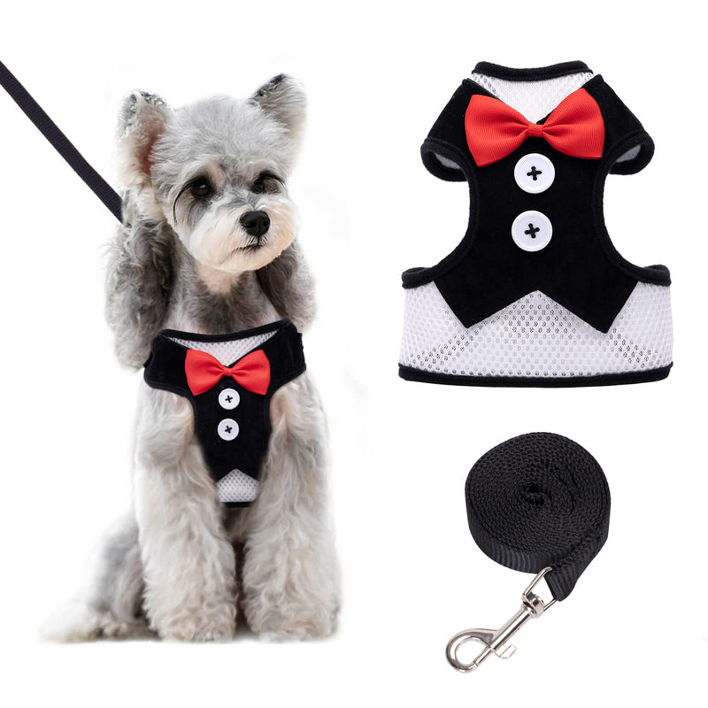 Small Dog Harness, Nobleza Cat Leash and Harness Set with Cute Bowtie & Adjustable Metal Clip, Breathable Air Mesh Walking Harness for Puppies, Kitties, Small Dogs, Cats M (Chest Girth: 14.9-18.1") - BeesActive Australia