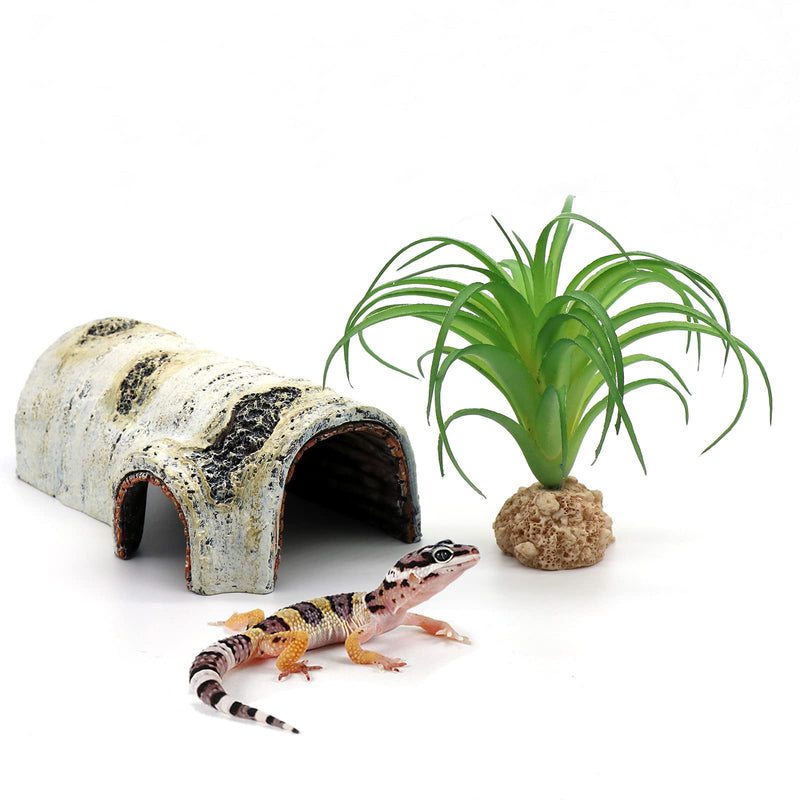 Reptile Hides and Caves Birch Tree Bark Trunk Habitats Decor Aquarium Decoration Wood for Lizard Geckos Snake Spiders Frogs Turtle Small - BeesActive Australia