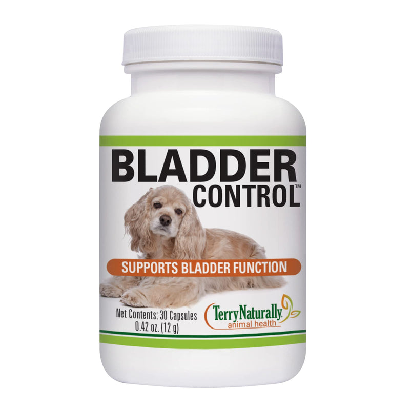 Terry Naturally Animal Health Bladder Control - 30 Capsules - 100 mg Angelica - Bladder Health & Urinary Tract Support for Dogs - Non-GMO, Canine Only - 30 Servings - BeesActive Australia