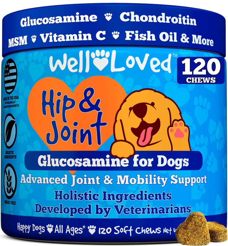 Well Loved Glucosamine for Dogs - Joint Supplement for Dogs, Made in USA, Vet Developed, Dog Joint Supplement, Glucosamine Chondroitin for Dogs, Advanced Hip and Joint Chews with MSM, Pain Relief, 120 - BeesActive Australia