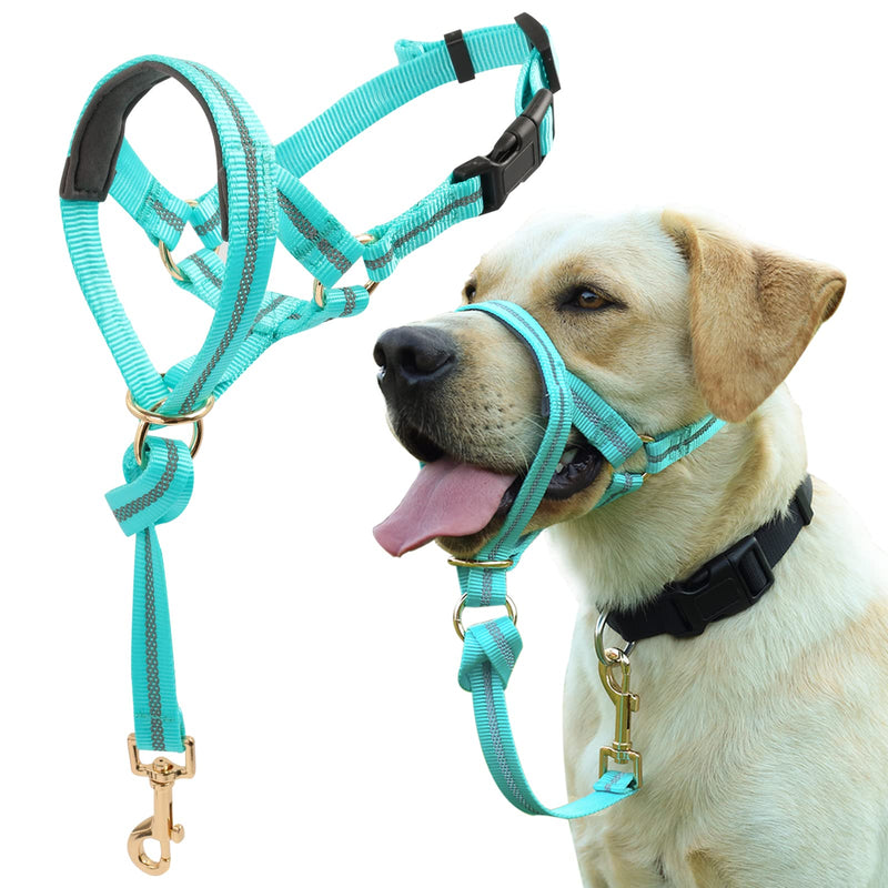 Dog Head Collar, No Pull Dog Halter with Soft Padding, Durable, Reflective Training Tool for Medium Large Dogs, Labrador, Stops Heavy Pulling and Easy Control on Walks, Includes Free Training Guide Turquoise - BeesActive Australia