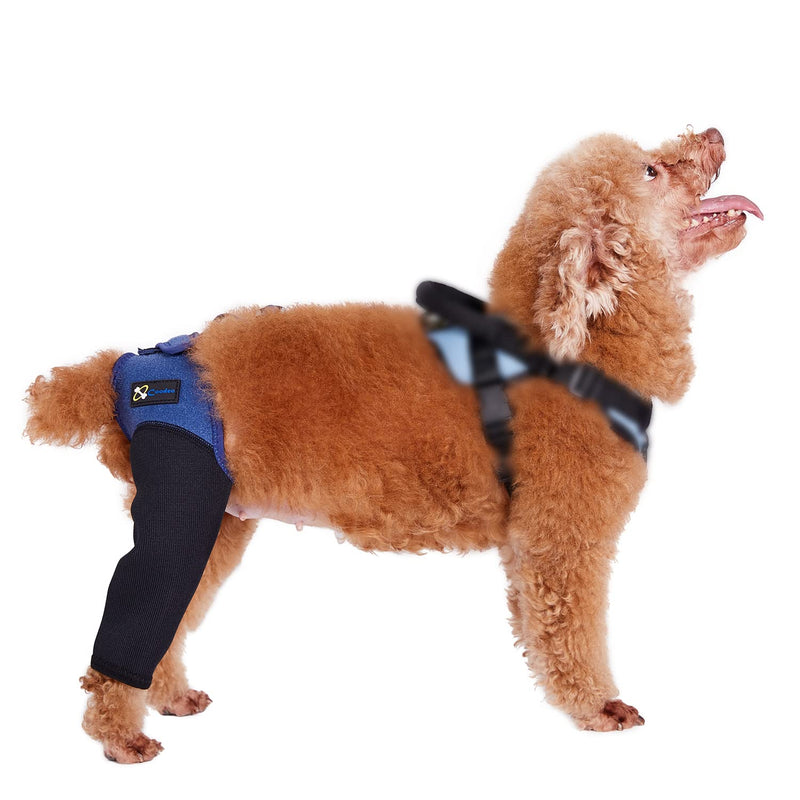 COODEO Dog Recovery Sleeve, Pet Wounds Prevent Licking, Bite, Being Wet and Infected, Abrasion Resistant Dog Recovery Suit, Washable Neoprene 2.5mm Thick and Waterproof, Cone Collar Alternative L - BeesActive Australia