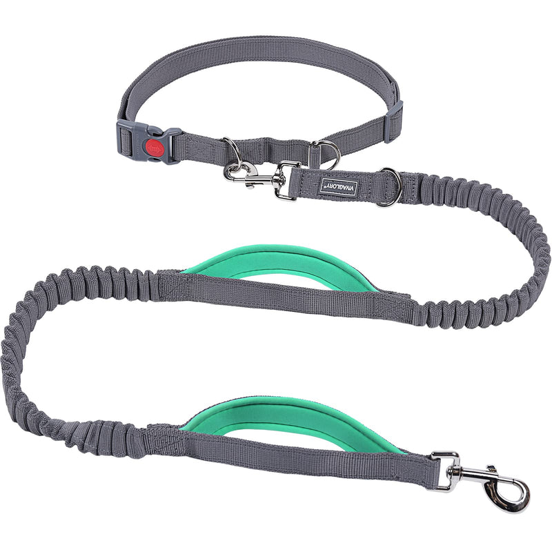 VIVAGLORY Hands Free Dog Leash with Dual Advanced Anti-Shock Bungees and Padded Handles, Reflective Waist Running Leash with Adjustable Belt for Training Jogging for Medium Large Dogs Fits waist 25½"~44" Grey/Turquoise - BeesActive Australia