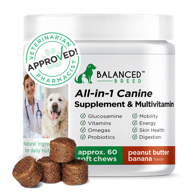 Balanced Breed Small & Large Dog Multivitamin Chewable w/ Glucosamine Dog Vitamins & Supplements Chondroitin MSM Hip & Joint Support Old Senior Health Salmon Oil Immune Booster Skin Heart Probiotics - BeesActive Australia