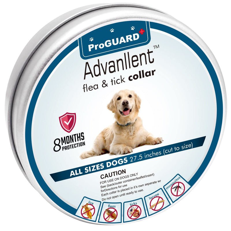 Advanllent Flea Collar for Dogs, 8 Month Flea and Tick Prevention for Dogs, 27 Inch Adjustable - BeesActive Australia
