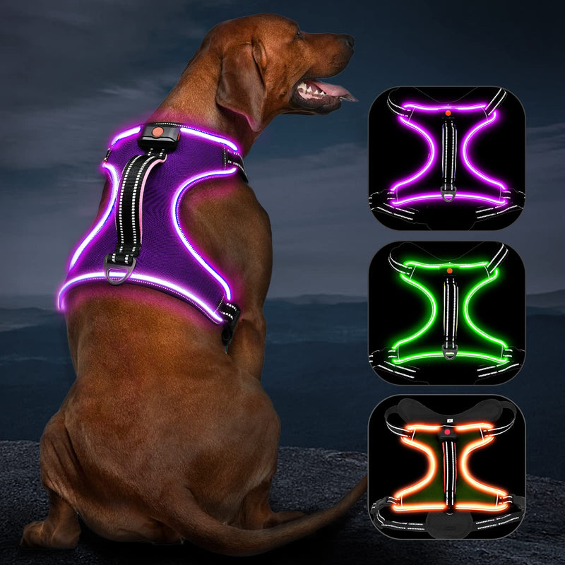 Light Up Dog Harness No Pull LED Dog Harness with Handle Vizbrite Rechargeable Lighted Dog Vest Harness for Small/Medium/Large/X-Large Size Dogs No Pull, 4 Point Adjustable Easy Walk Dog Harness. Purple-Pink Medium - BeesActive Australia