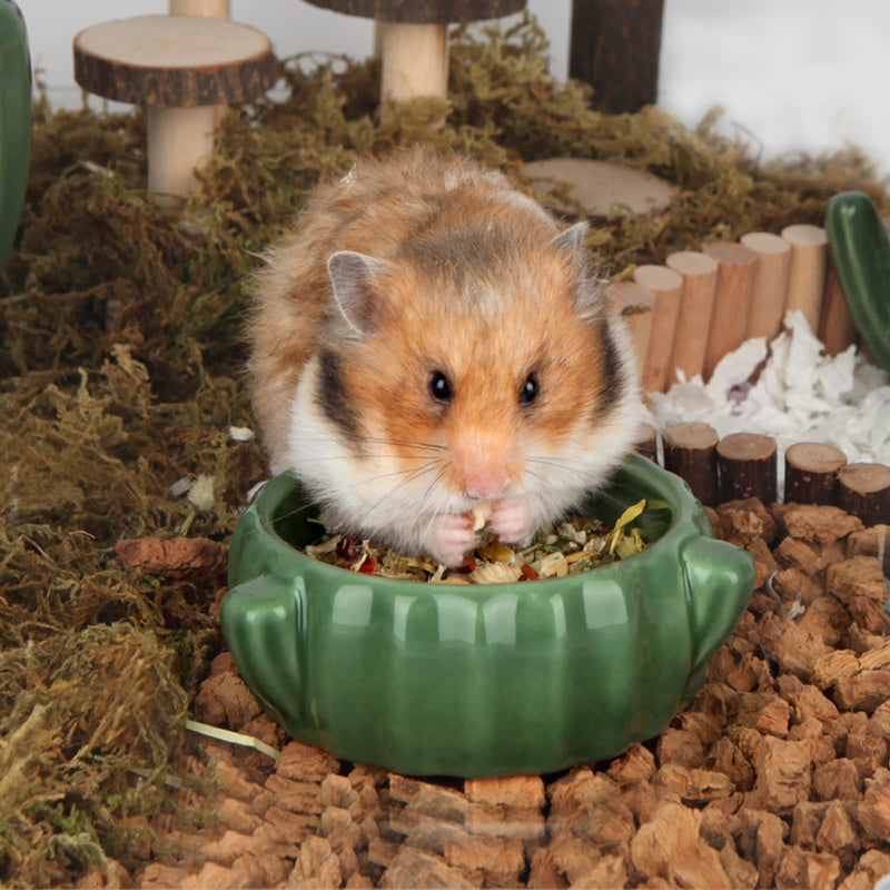 BUCATSTATE Cactus Leakproof Water Bottle Ceramic Universal Water Bottle Holder Stand for Hamster Girbils and Other Small Animals Cactus Food Bowl - BeesActive Australia