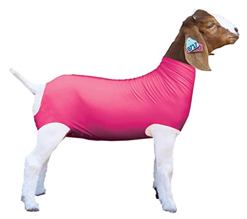 Show Pro Pink Spandex Goat Tube for Show Goats - Show Livestock Supplies: Goat Covers & Blankets Medium - BeesActive Australia