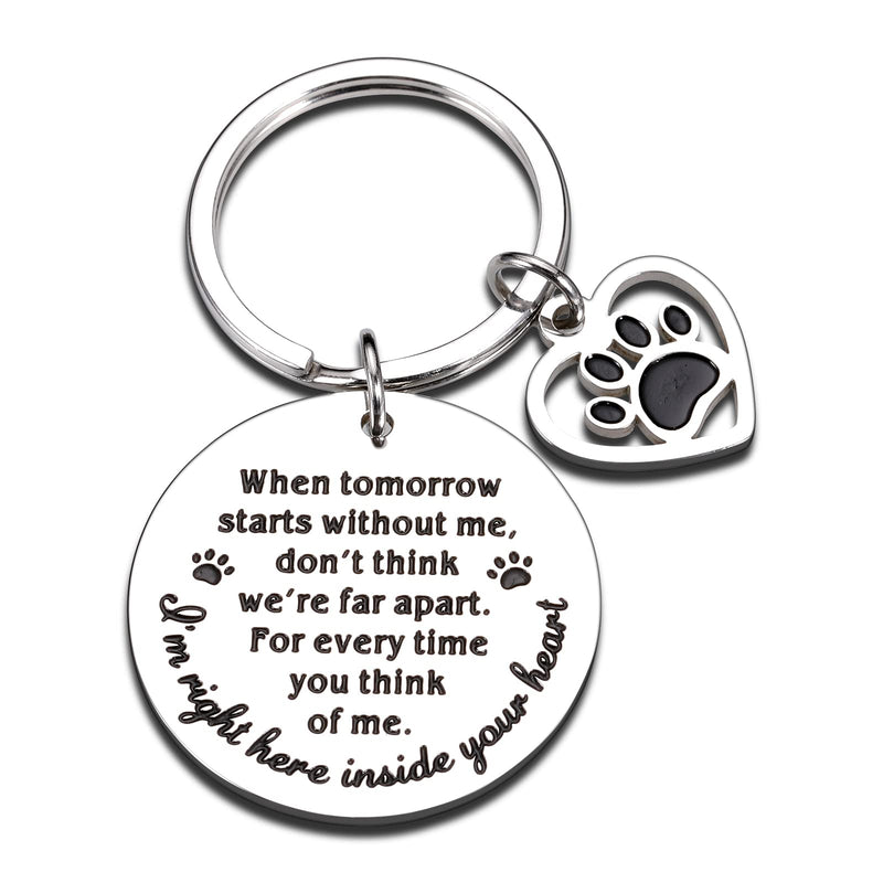 Pet Memorial Gifts, Dog Cat Remembrance Keychain, Loss of Dog Cat Sympathy Gifts Silver - BeesActive Australia