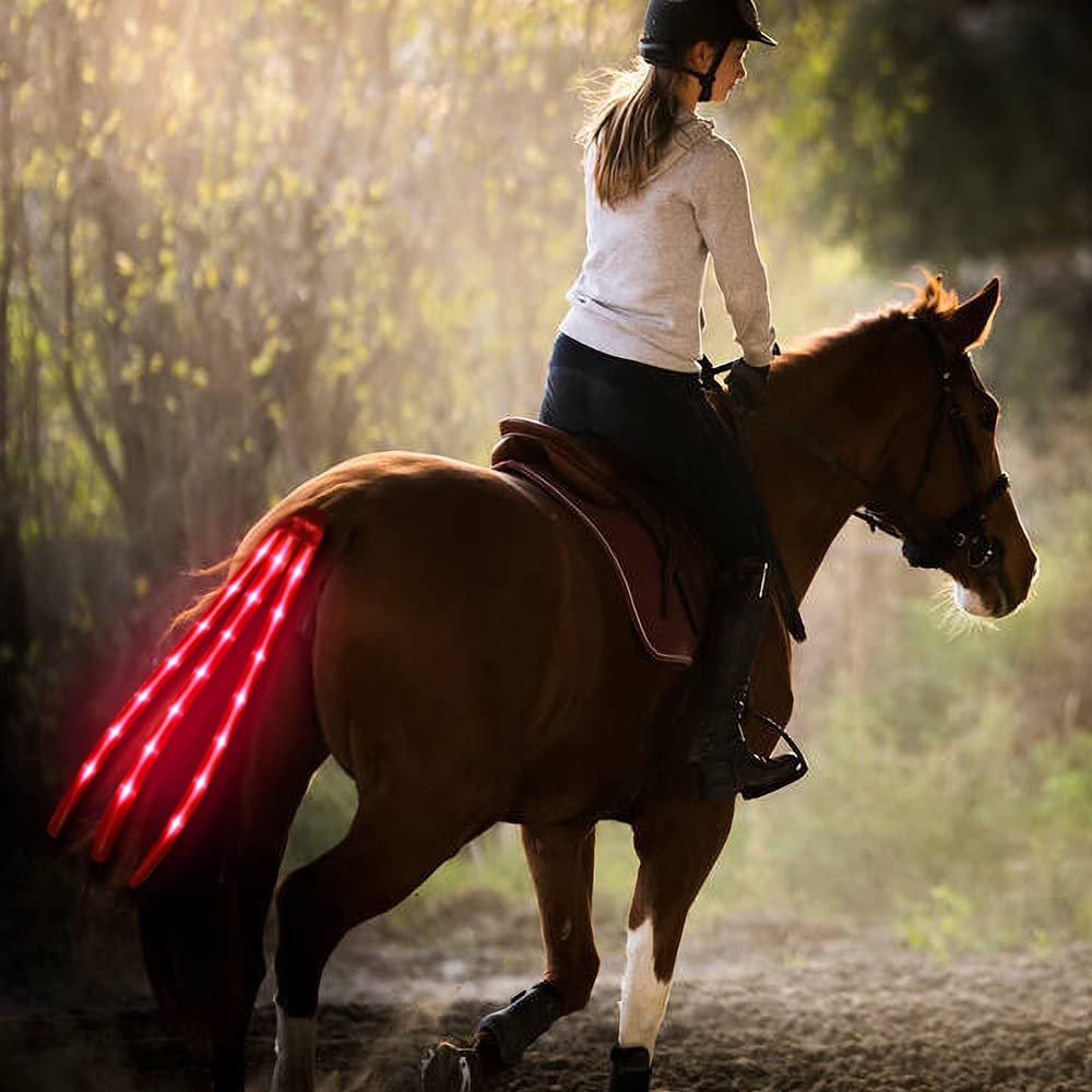 LED Horse Tack Rechargeable - Horse Accessories - Horse Tail Light - USB Recharged Outdoor Sports Equestrian Equipment - Best Horse Equipment for Christmas and Holiday - Great Safety Horse Equipment - BeesActive Australia
