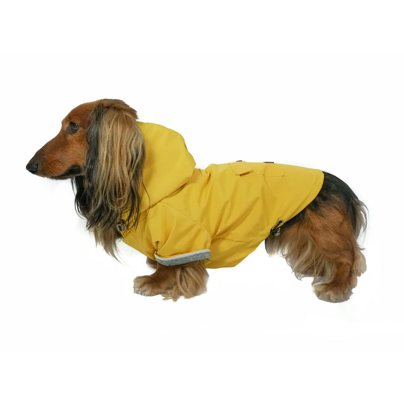 DJANGO Highland Dog Jacket and Raincoat - Water-Repellent, Windproof, and Harness-Friendly Winter Dog Coat and Stylish Dog Raincoat with Adjustable Drawstrings, Optional Hood, Premium Gunmetal Hardware, and Back Pocket Medium Dandelion Yellow - BeesActive Australia