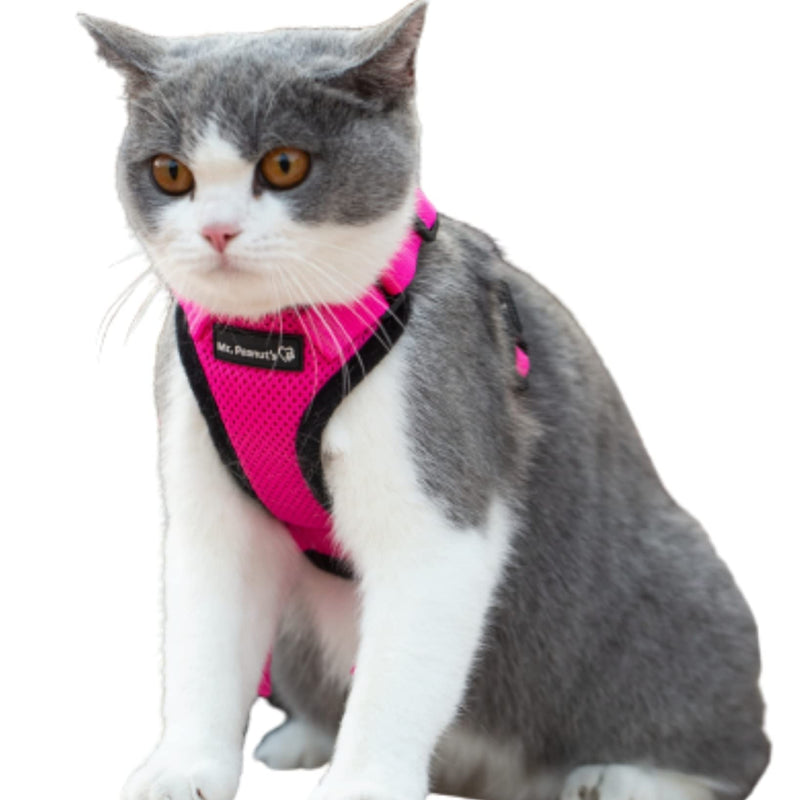 Mr. Peanut's PurrTrek Reflective Cat Harness with Matching Leash Small Pink - BeesActive Australia