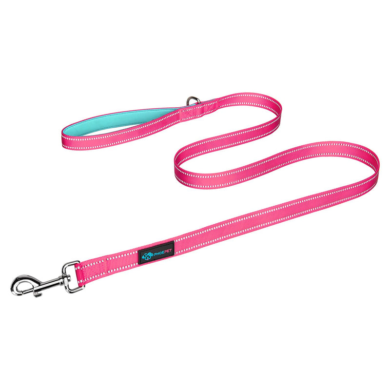 PHOEPET 5 Feet Dog Leash - Dual-Side Reflective - Soft Padded Handle - Fit for Walking, Training or Exploring Hiking, Camping L(Width: 1") Pink + Mint Green Base - BeesActive Australia