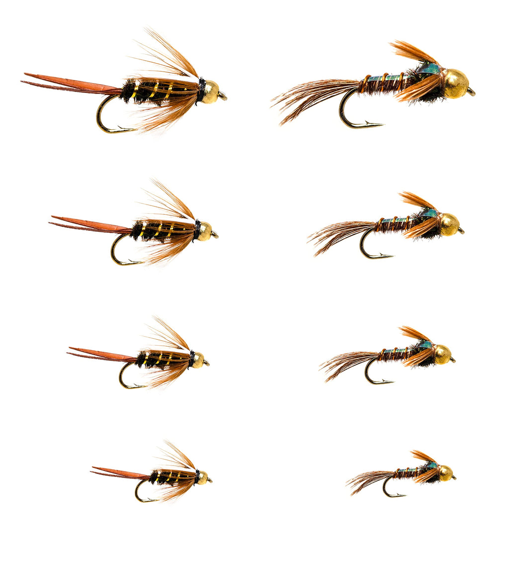 Essential Fly Fishing Flies Assortment | Dry, Wet, Nymphs, Streamers, Caddis, Hopper | Trout, Bass, Steelhead Fishing Lure Set 24 Flashback Pheasant Tail and Prince Nymph - BeesActive Australia