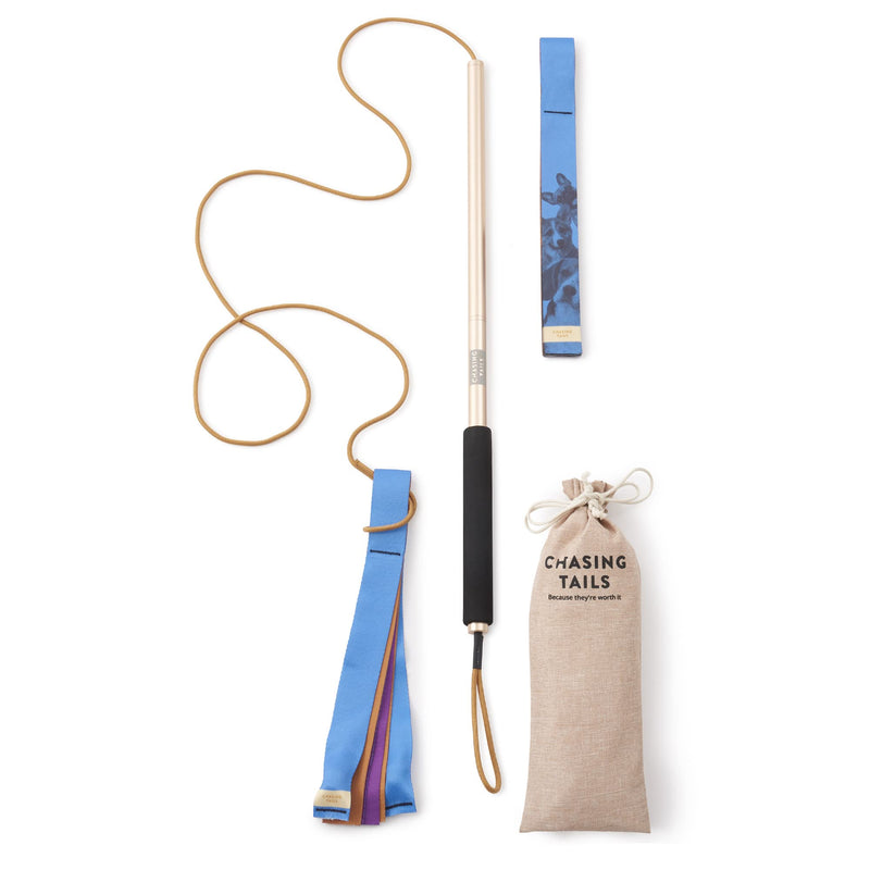 Chasing Tails Flirt Pole For Dogs Large Breed Heavy Duty - Dog Flirt Pole Teaser, Dog Exercise Equipment, Spring Pole for Dogs, Dog Training Toys Dog Flirt Pole for Large Dogs Chase Stick Catcher Pole - BeesActive Australia