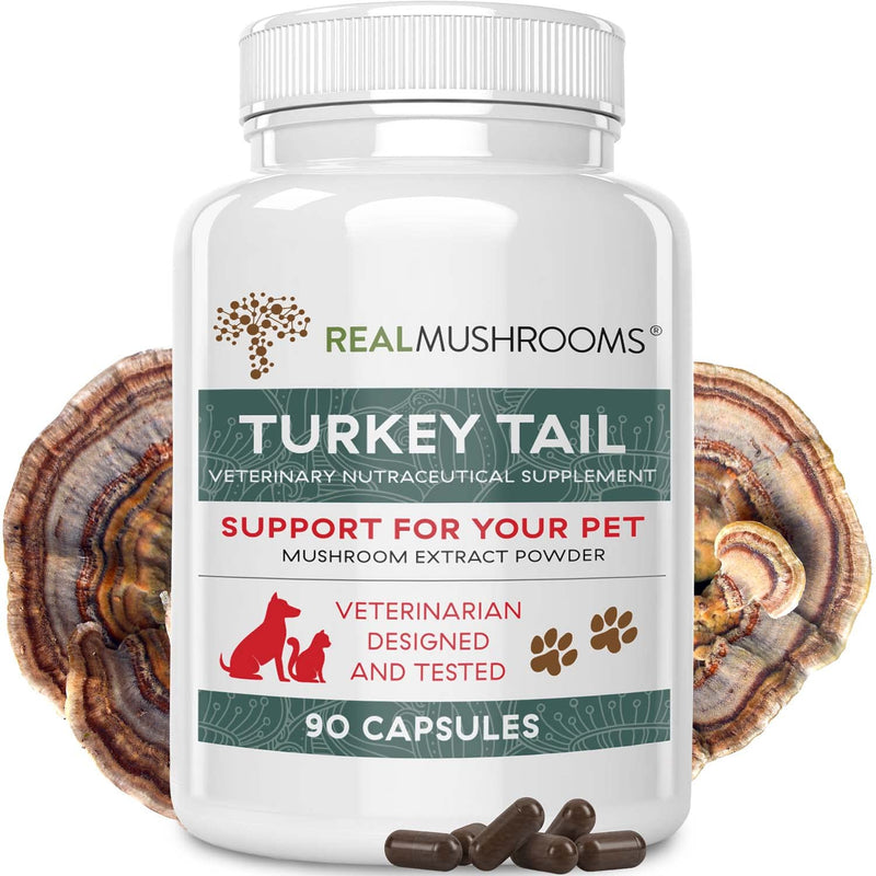 Turkey Tail Pet Support - Dog Multivitamins and Supplements for Immune Support, Gut Health & Wellness - Grain-Free, Gluten-Free, Vet-Approved Dog Supplement (90ct) - BeesActive Australia