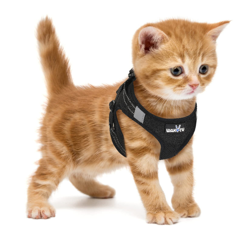 Wakytu Breathable Dog Harness Set with Phone Label, Step-in Adjustable Cat Vest Harness with Leash and Dog Poop Bag Holder, Reflective Dog Vest Harness, Pet Harness for Small Cats up to Large Dogs XS (Chest: 8.5 - 10.5" * Only Kitten) 1.0 Black-No Pull - BeesActive Australia