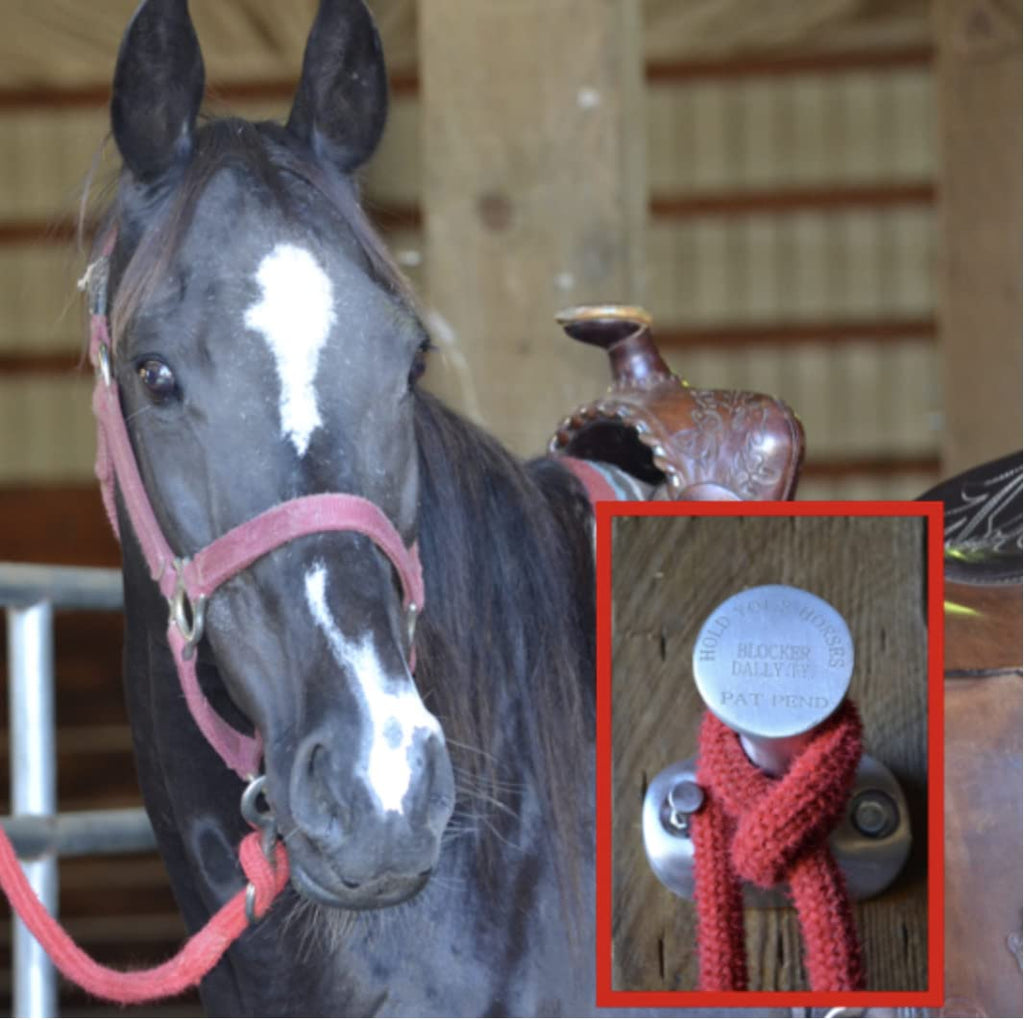 Blocker Dally Ty, Tie Ring Hitching Post Hook Featuring a Solid Aluminum Design to Hold Your Horse or Hang Tack, Hats, & Ropes - BeesActive Australia