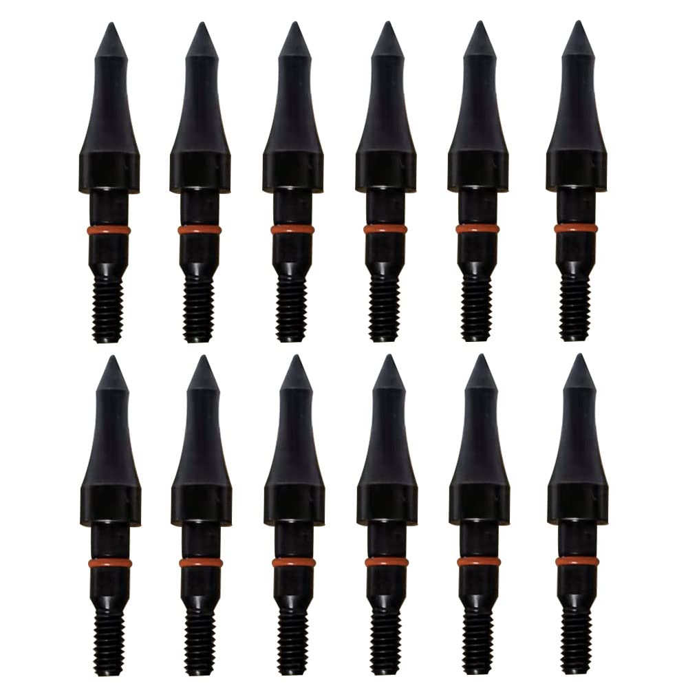 Field Points arrowheads 100/125/150/200/300 Grains Archery Field Points, Steel Screw in Archery Field Tips and Broadheads (1 Dozen 12 PCS) B-5/16"100Grain - BeesActive Australia