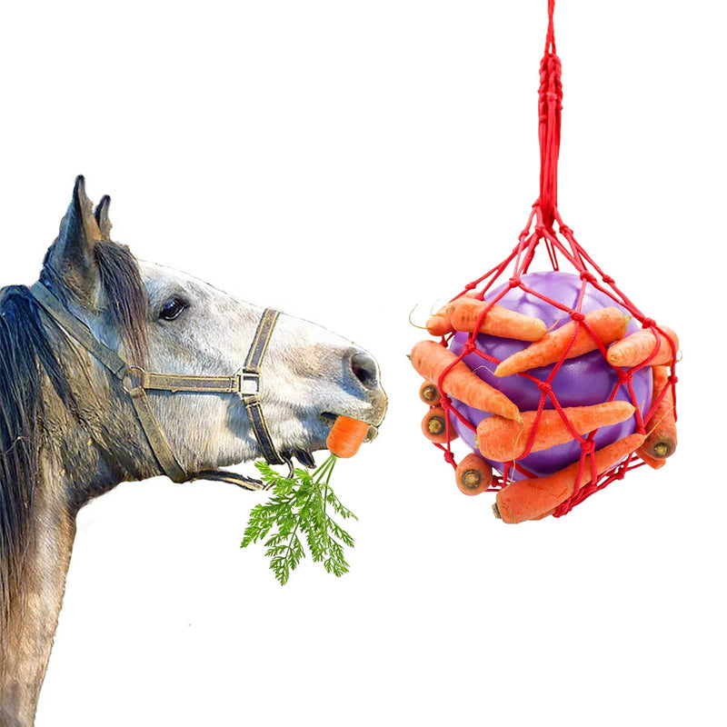 Horse Treat Ball Carrot Feeder Toy Hanging Feeding Toy Goat Feeder Ball for Horse Goat Sheep Relieve Stress, Horse Stable Stall Paddock Rest Purple - BeesActive Australia