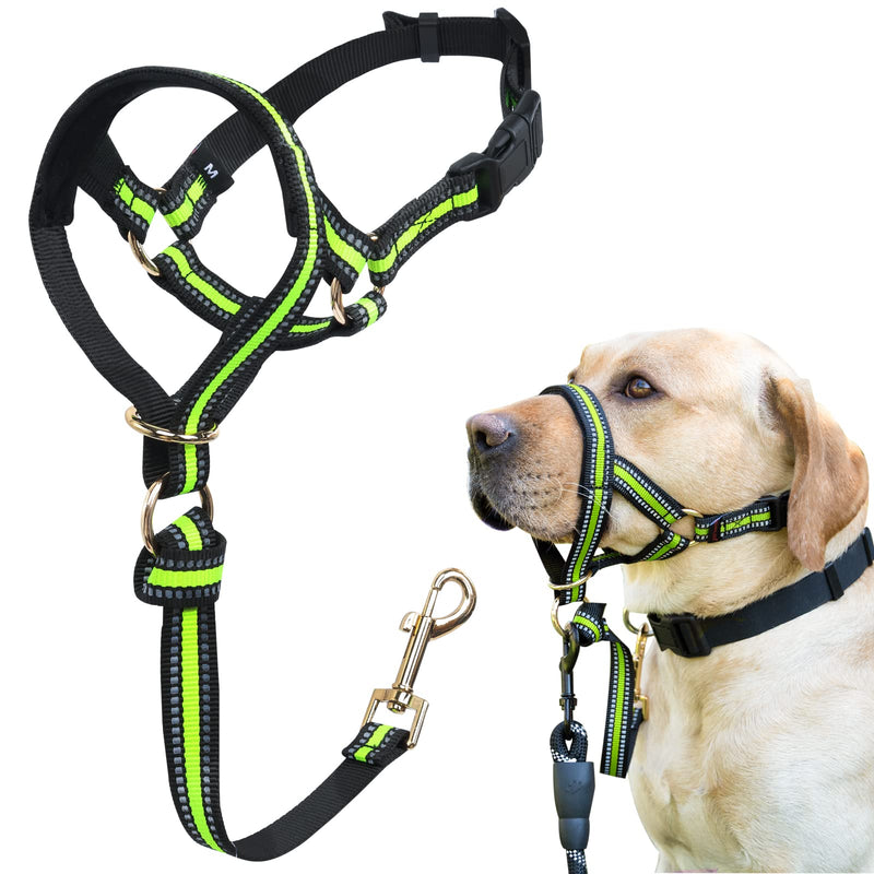 Dog Head Collar, No Pull Stylish Head Halter for Heavy Pullers, Gentle Dog Face Harness Stops Pet Pulling and Choking on Walks for Medium Large Aggressive Dogs L Fuorescent Green - BeesActive Australia