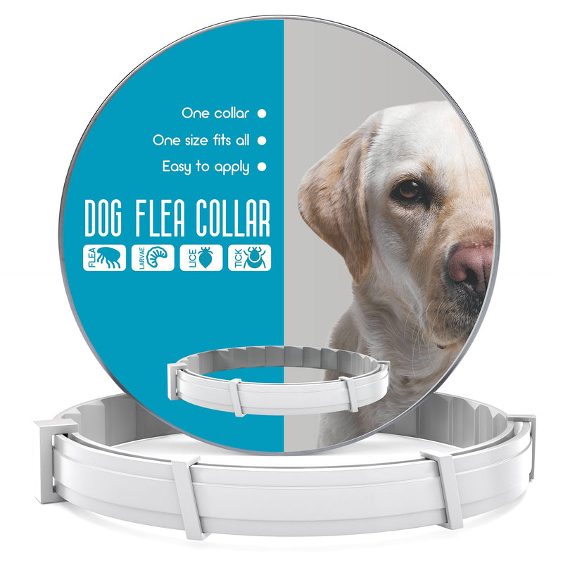 Flea and Tick Prevention for Dogs - Flea Collar - BeesActive Australia