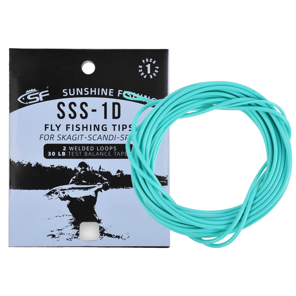 SF Skagit Tips Scandi 1D with 2 Welded Loops 10/12/15FT Fly Fishing Spey Line Tip Multi-Color for Salmon Steelhead (90/110/125GR) Mint-Intermediate 10', 90 Grains - BeesActive Australia