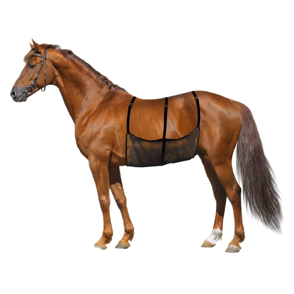 Horse Belly Guard Horse Ride Fly Sheet Mesh Belly Protector for Riding Stable Setting Equine Guard Sheet - BeesActive Australia