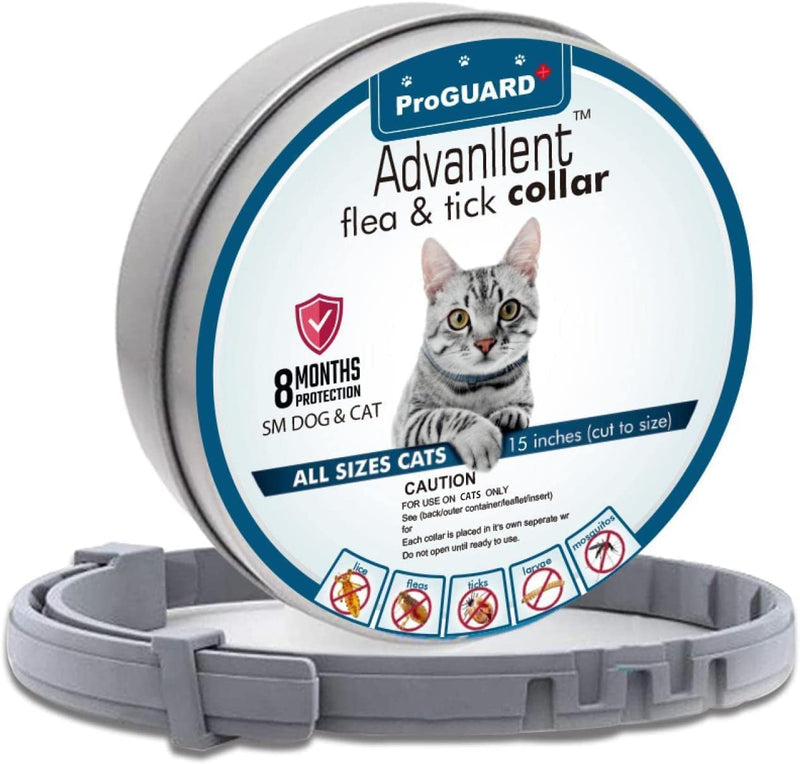 Advanllent Flea Collar for Cats, Flea and Tick Collars for Cats and Kittens, 8 Month Protection, Gray - BeesActive Australia