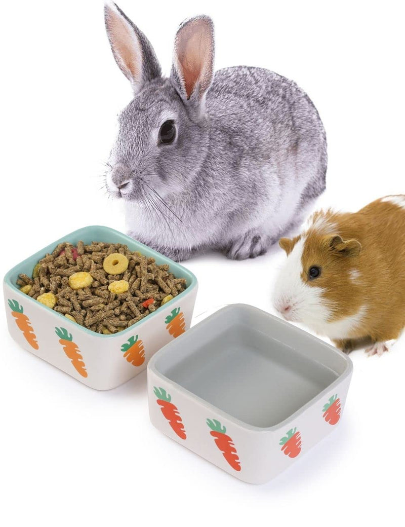 JanYoo Rabbit Food Bowl Guinea Pig Feeder Ceramic for Cage with Water Bowls Supplies and Accessories for Bunny B-Blue+Grey Pack of 2 - BeesActive Australia