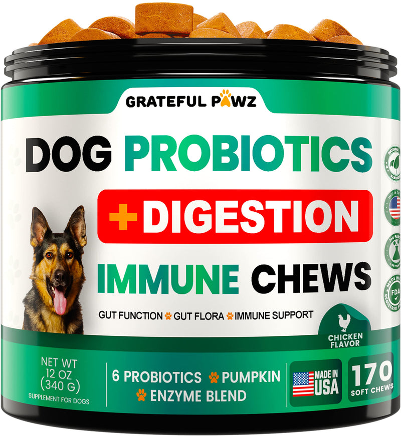 Probiotics for Dogs - Dog Probiotics and Digestive Enzymes + Prebiotics - Chewable Fiber Supplement - Probiotic Chews for Dogs - Allergy, Diarrhea, Gas, Constipation, Upset Stomach Relief - BeesActive Australia