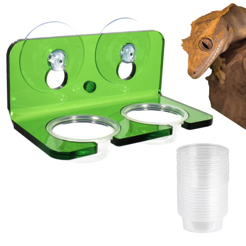 WOLEDOE Crested Gecko Feeding Ledge with 20 Pcs 0.5oz Bowls, Reptile Food Cups and Water Dish fit Chameleon Lguana Lizards - BeesActive Australia