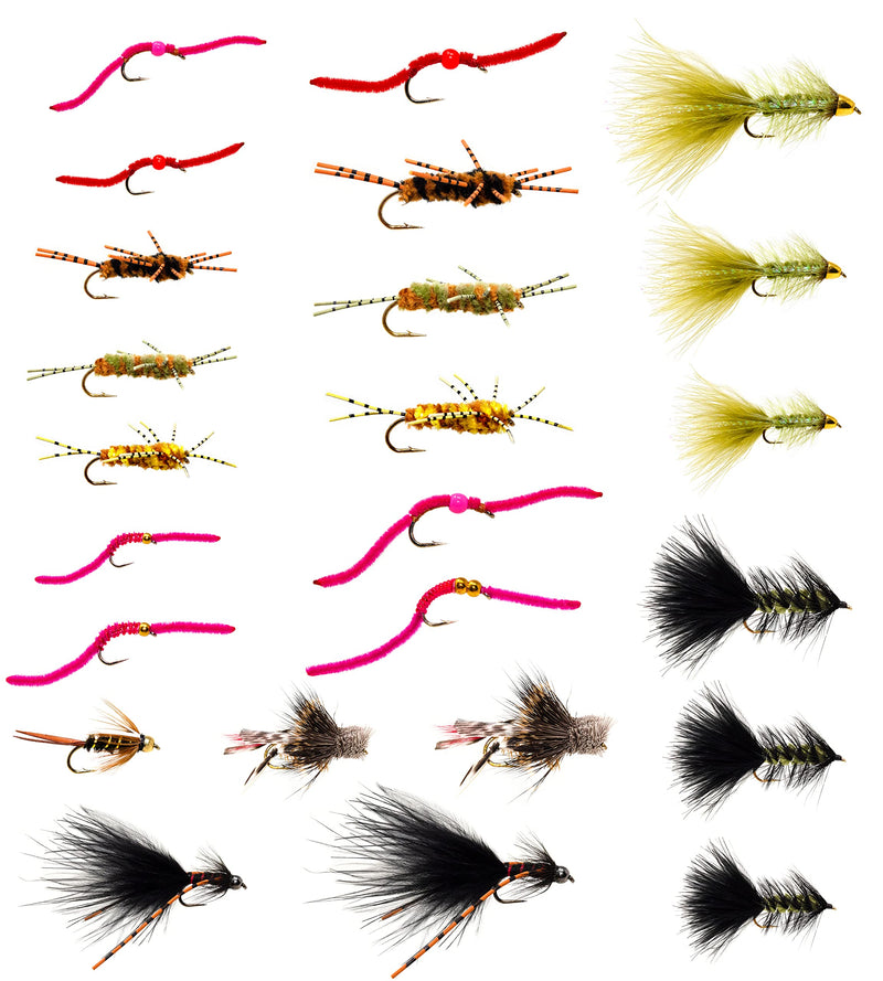24/36/ 48 Assorted Trout Fly Fishing Flies Kit | Waterproof Fly Box | Nymphs Flies, Wet Flies, Streamer, Hopper and Dry Flies 24 Favorite Flies - BeesActive Australia