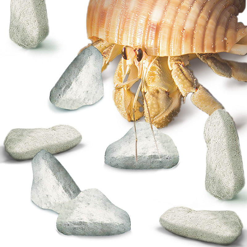 JOR Mineral Rocks for Hermit Crabs, Calcium-Rich for Stronger Shells and Pet’s Vitality, for Ideal Tank’s Humidity Level, Terrarium Décor, 2 oz. - BeesActive Australia