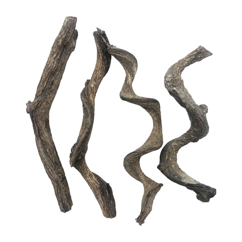 BNOSDM Reptile Vines，Flexible Jungle Climber Vines Habitat Decor for Climbing,Geckos Snakes Lizards 4PCS - BeesActive Australia