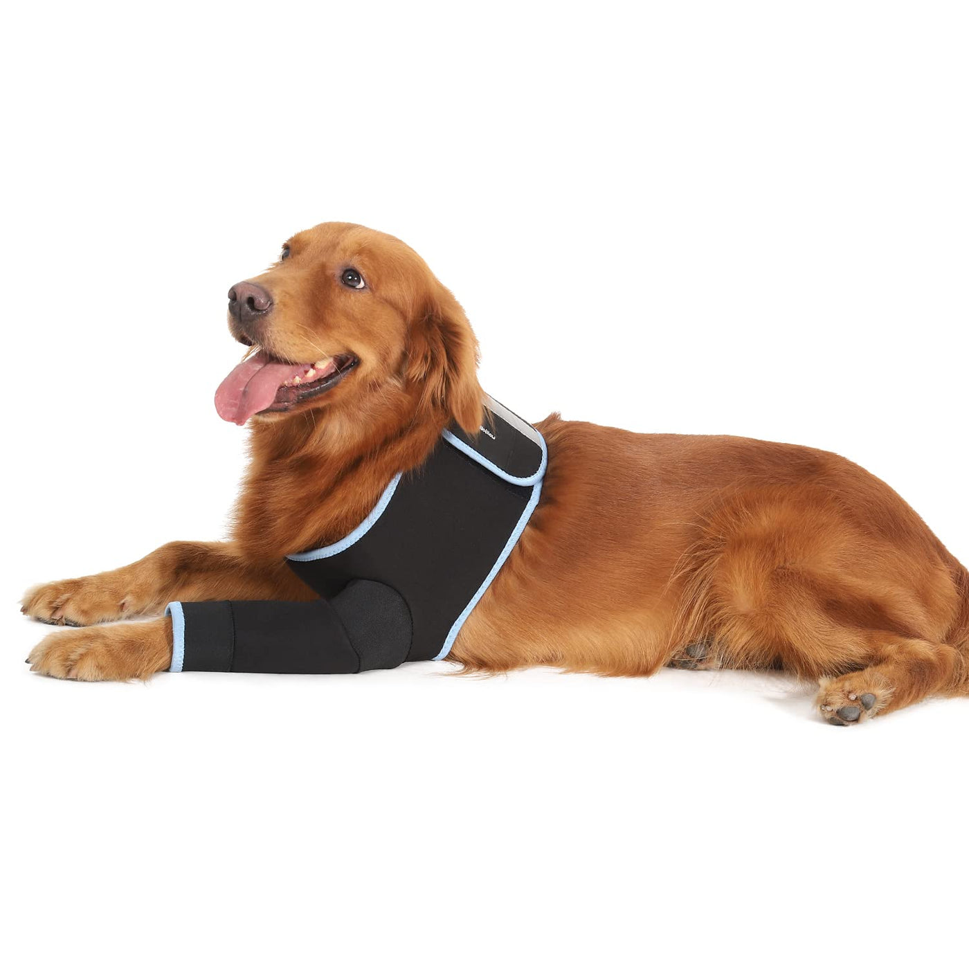 Dog recovery suit outlet with legs