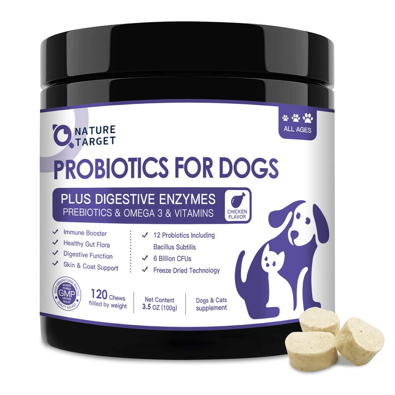 Probiotics for Dogs, 6 Billion CFUs, Freeze Dried Dog Probiotics with Prebiotics and Digestive Enzymes, Vitamins and Omega 3, for Gut & Skin & Immune Health, Allergy Itch Relief, Reduce Diarrhea, Gas - BeesActive Australia