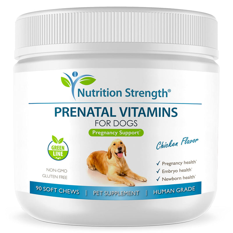 Nutrition Strength Prenatal Vitamins for Dogs to Support Development of Healthy Puppies, Promote Milk Production, with Folic Acid, Iron, Zinc, Iodine, B Vitamins for Pregnant Dogs, 90 Soft Chews - BeesActive Australia