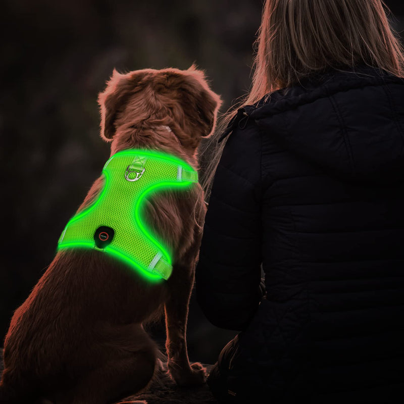 Tripolaco Light Up Dog Harness, High Visibility Led Dog Harness for Night Safety, USB Rechargeable Flashing Dog Harness for Night Walking, Glowing Dog Vest Harness for Small Medium Large Dogs Style-1 L - BeesActive Australia