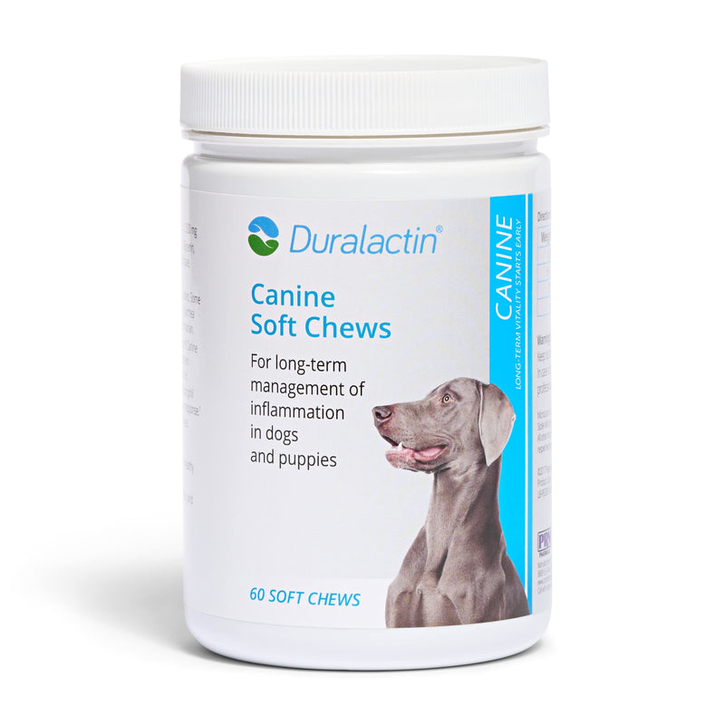PRN Duralactin Canine Soft Chews - Joint Health Supplement for Dogs and Puppies to Help Reduce Inflammation - Chicken-Liver Flavored Canine Chews Containing Dried Milk Protein - 60-Count Bottle - BeesActive Australia