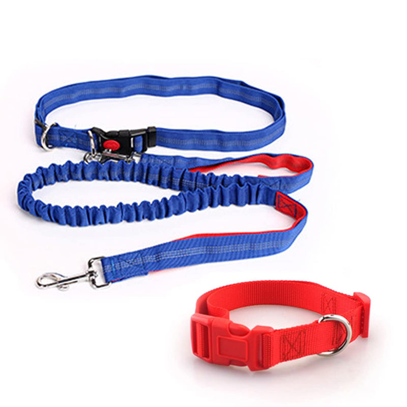 Hands Free Running/Walking/Training Dog Leash of 4 feet, Reflective Stitching Safety Proof Locking Buckle Waist Belt of 50.4 Inch/128 cm, Comes with a Bonus Dog Collar. Medium Leash (Blue/Red) + Collar (red) - BeesActive Australia