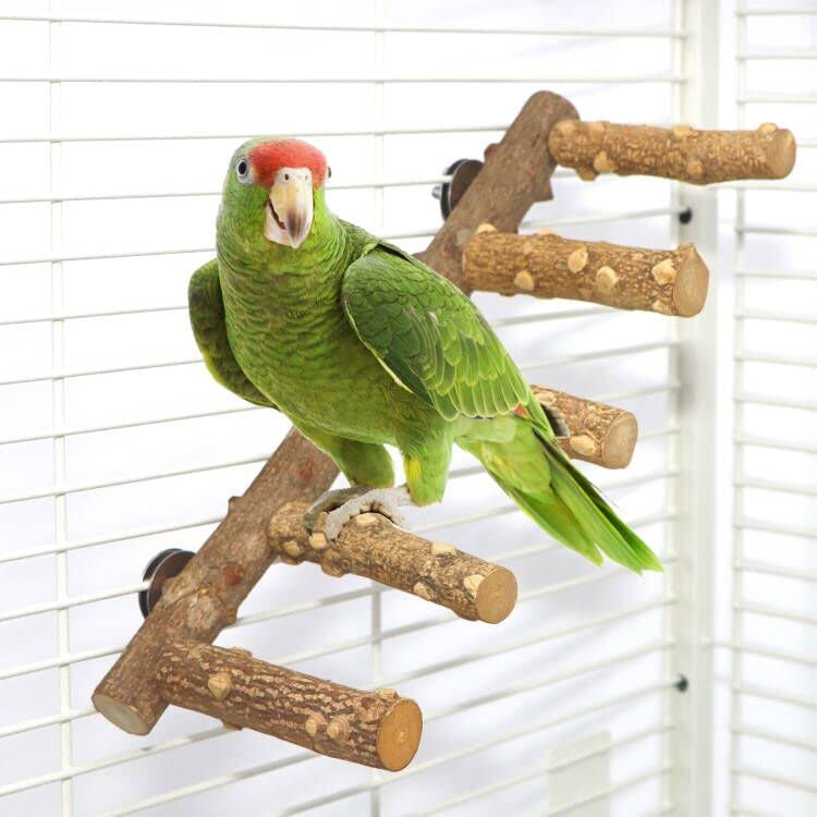 Bird Ladder Perch Cage Nature Wood Stand Parrot Chew Toy for Small Animal Medium - BeesActive Australia