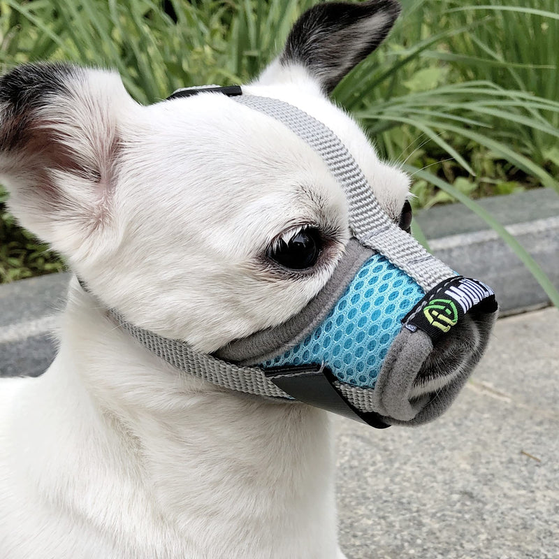 MoiiLavin Extra Small Dog Muzzle XS for Grooming Barking Chewing, Barkless Soft Mesh Muzzles to Prevent Eating Poop Things,Best for Aggressive Dogs (Grey-Blue) - BeesActive Australia