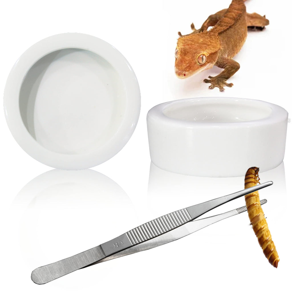 2Pcs Mini Reptile Food Dish Bowls Worm Water Dish Feeder Lizard Gecko Ceramic Pet Bowls with Tongs for Tortoise Lizard Bearded Dragon Frog Leopard Gecko Snake Chameleon(Small, 1.9 Inch) - BeesActive Australia