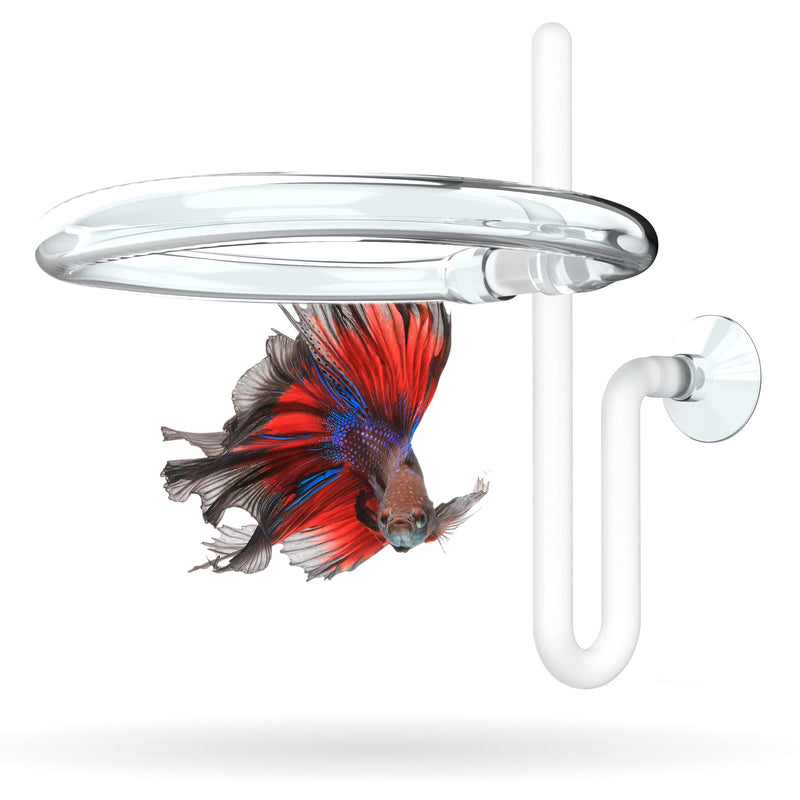 Invisible Feeding Ring (Customizable and Auto-Leveling) for Floating Plant Aquariums and Fish Tanks Standard 2.5" Feeding Ring - BeesActive Australia